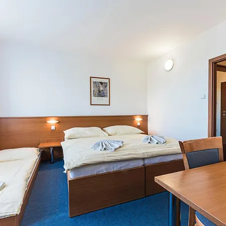 Rysy Hotel Tatranska Strba